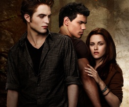 Twilight: Part 5?