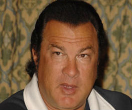 Seagal under siege