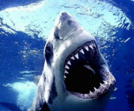 3D in cinema? Again? Get ready for Shark Night 3D!