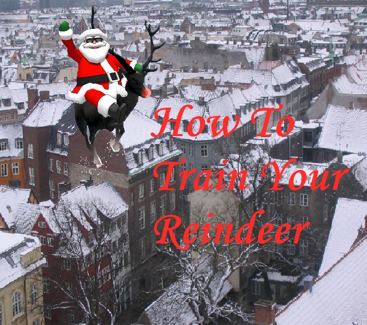 How To Train Your Reindeer