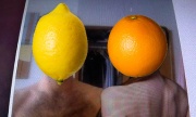 Orange(Wednesday)s and Lemons #1
