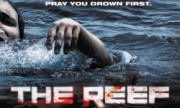Win: 5 x The Reef DVDs!