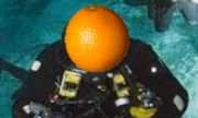 Orange(Wednesday)s and Lemons #6
