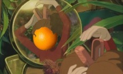 Orange(Wednesday)s and Lemons #31