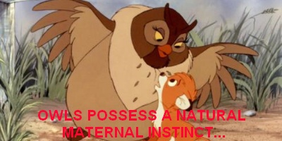 Fox and the Hound - owls in cinema