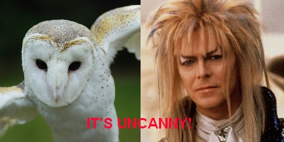 Labyrinth - owls in cinema