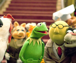 Jason Segel may return for Muppet Cameo