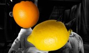 Orange(Wednesday)s and Lemons #89