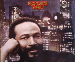 Marvin Gaye biopic issues